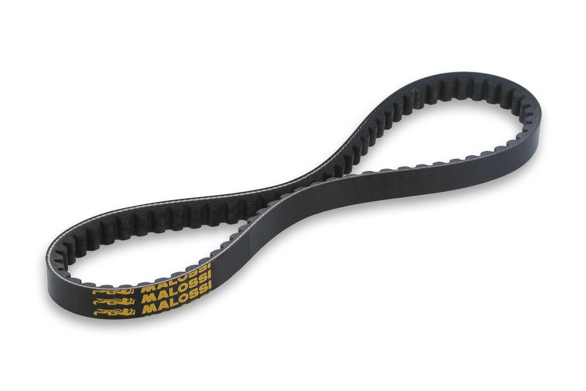 Malossi Cinghia X K Belt per Maxi Scooter (6116665)